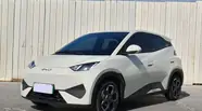 BYD Seagull Flying version