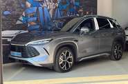 BYD Song L Beyond