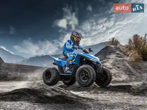Cf moto CForce 110