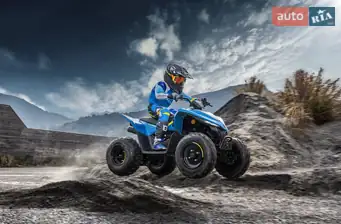 Cf moto CForce 110