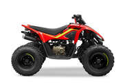 Cf moto CForce 110 Cf moto CForce 110 Base