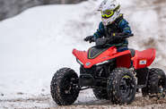 Cf moto CForce 110 Cf moto CForce 110 Base