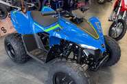 Cf moto CForce 110 Base