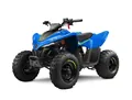 Cf moto CForce 110