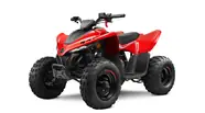 Cf moto CForce 110 Base
