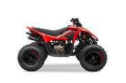 Cf moto CForce 110 Base