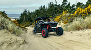 Cf moto Zforce Base