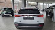 Chery FX Luxury