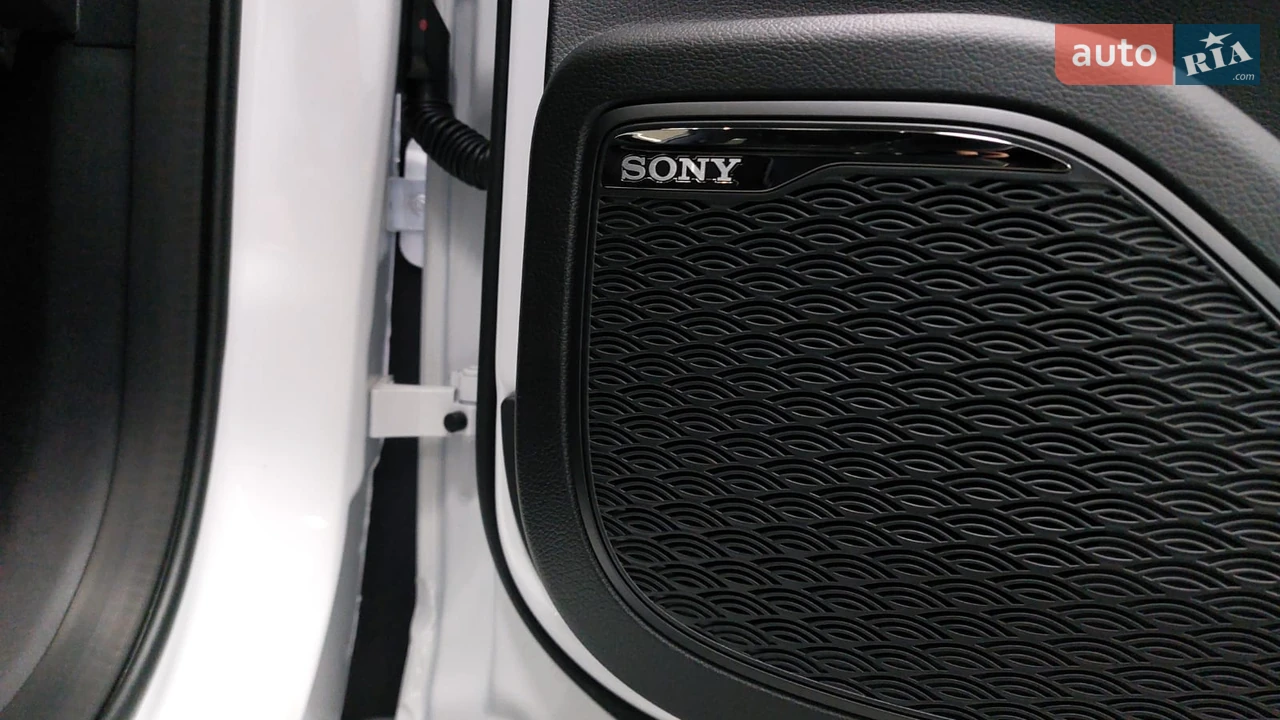 Chery-20