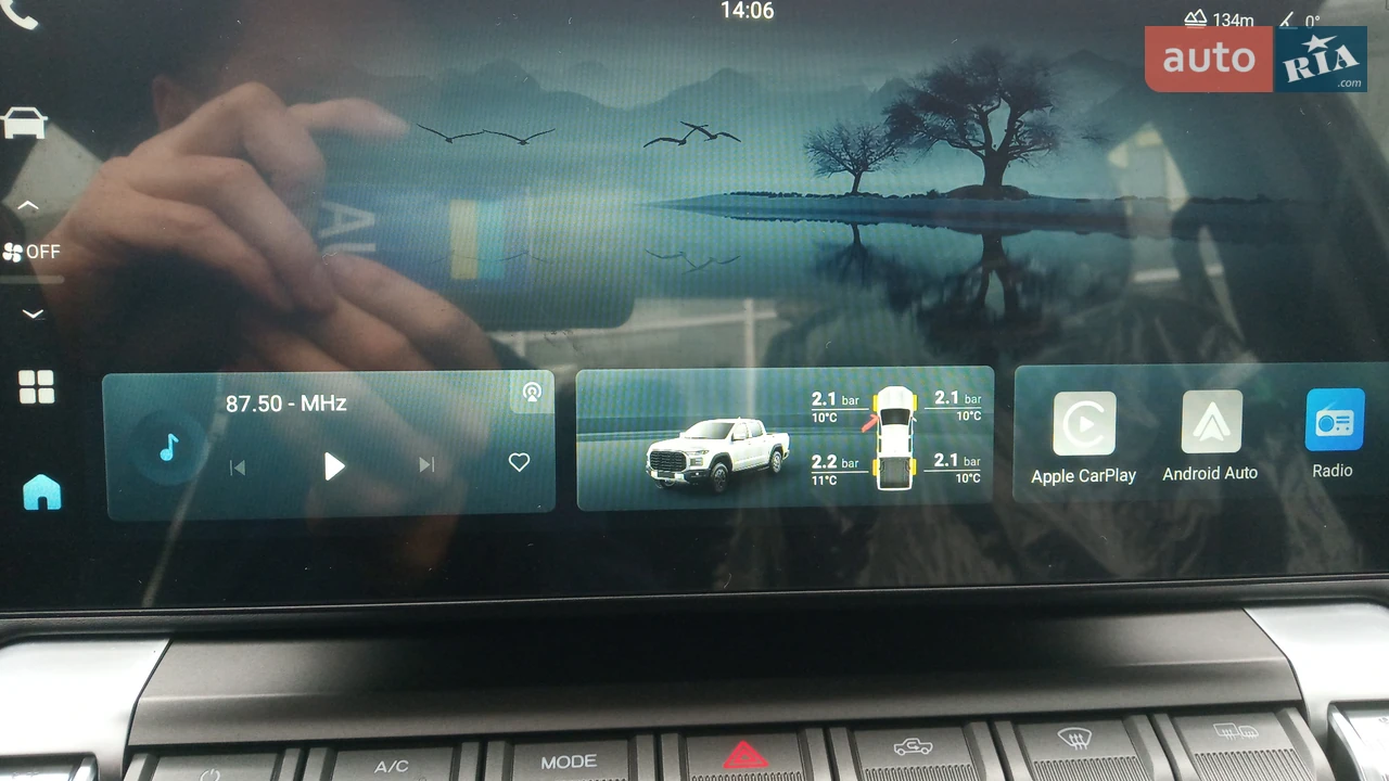 Chery-1