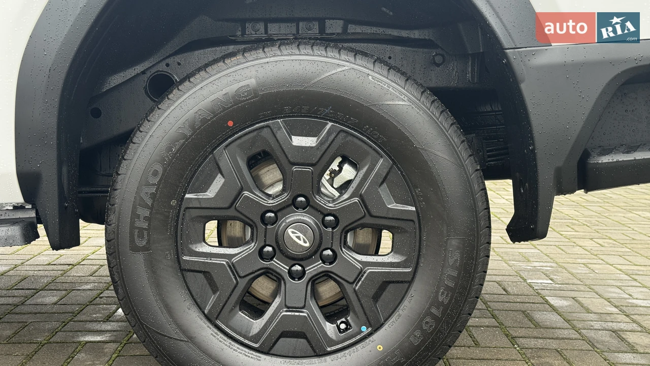 Chery-28