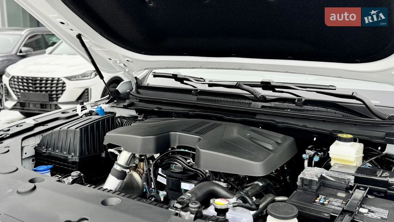 Chery-3