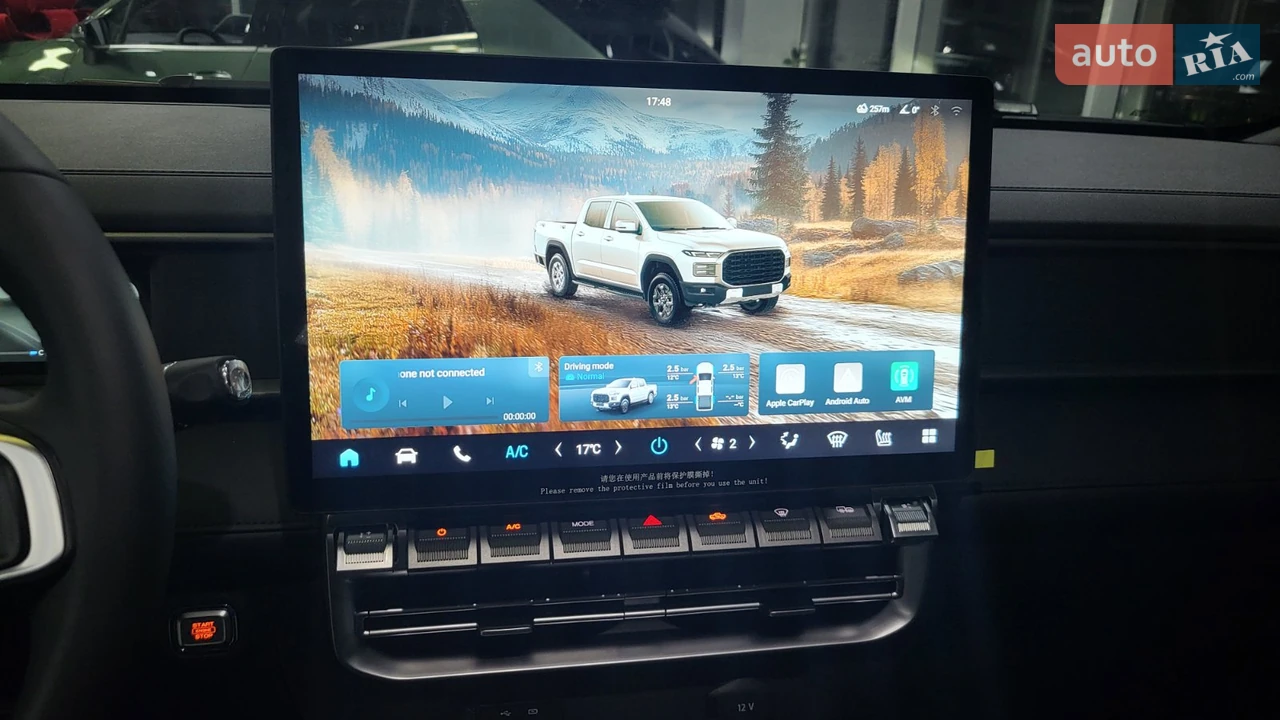Chery-20
