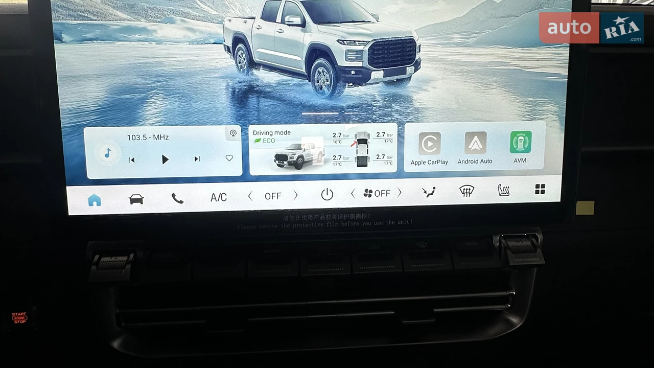 Chery-18