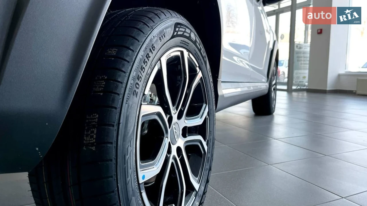 Chery-26
