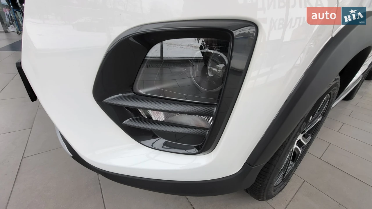 Chery-19