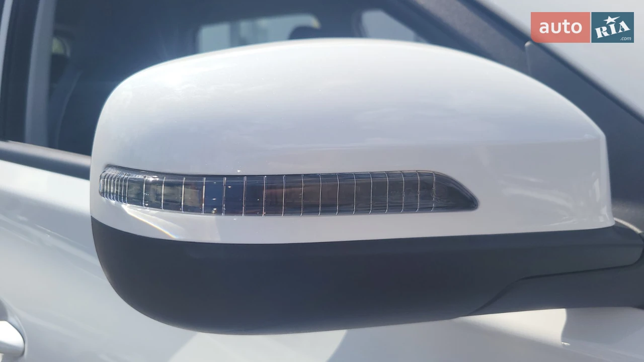 Chery-11