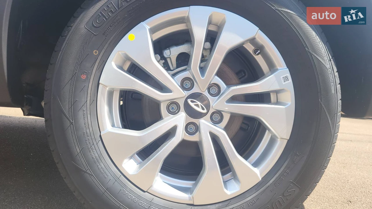 Chery-18