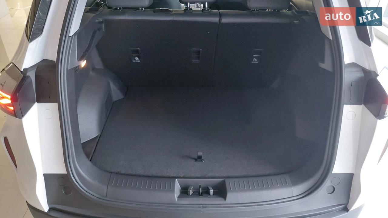 Chery-3