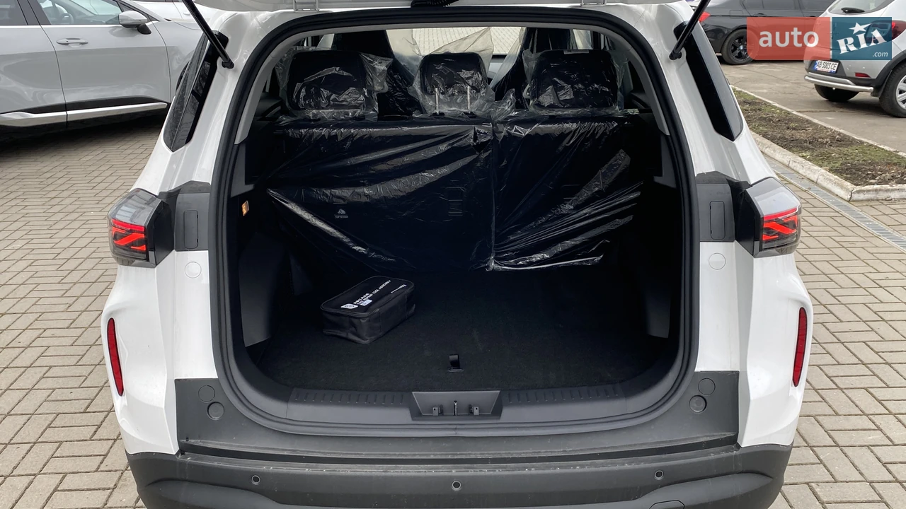 Chery-13