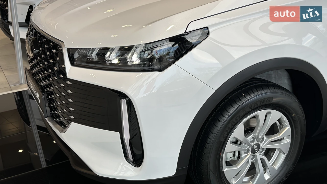Chery-13