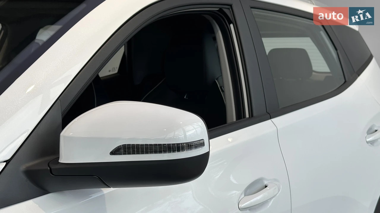 Chery-16