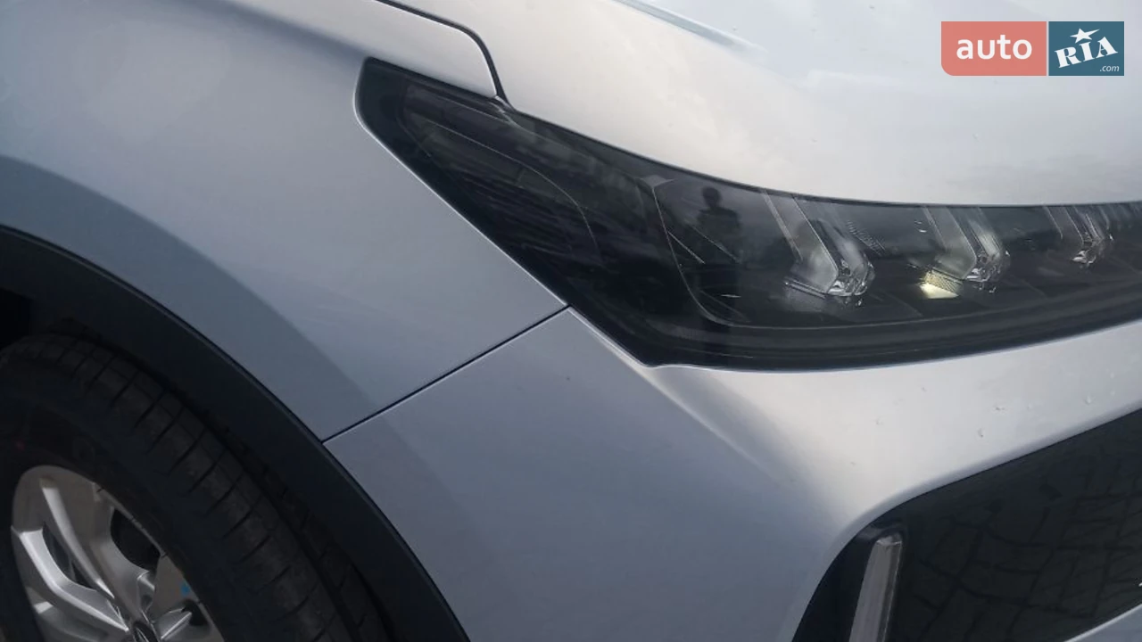 Chery-6