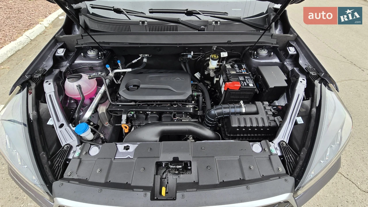 Chery-20