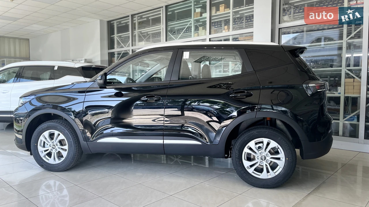 Chery-6