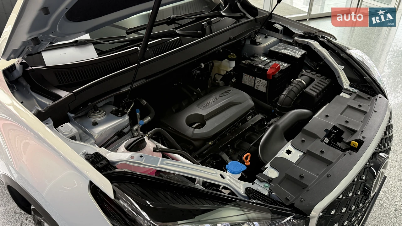 Chery-11
