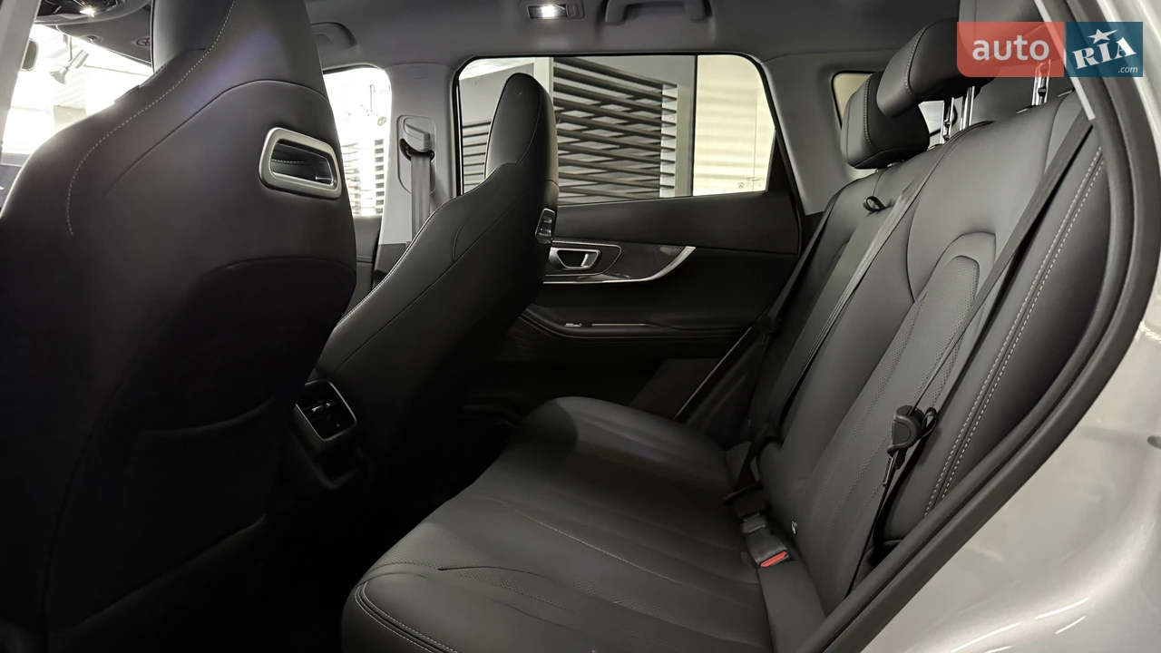 Chery-20