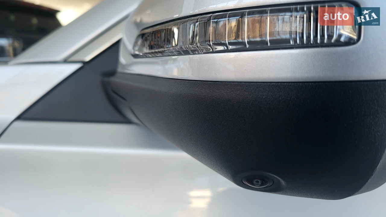 Chery-11