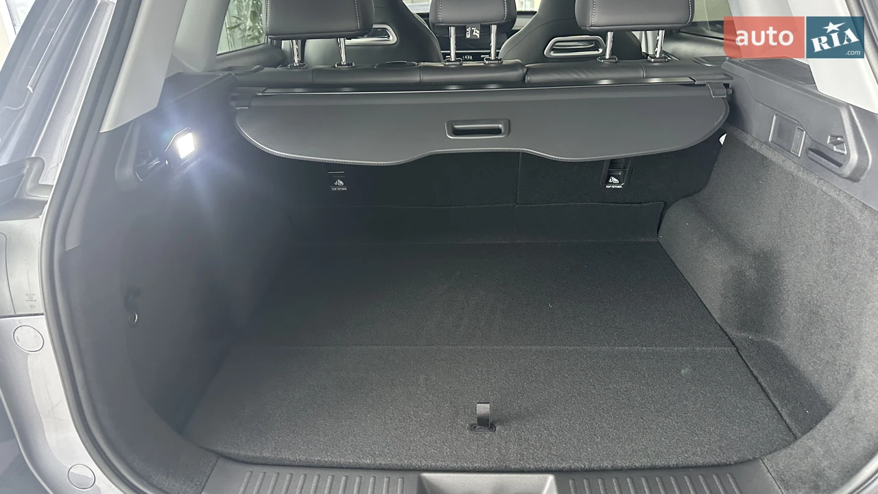 Chery-31