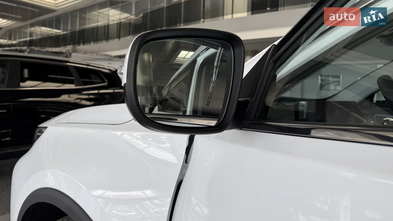 Chery-11