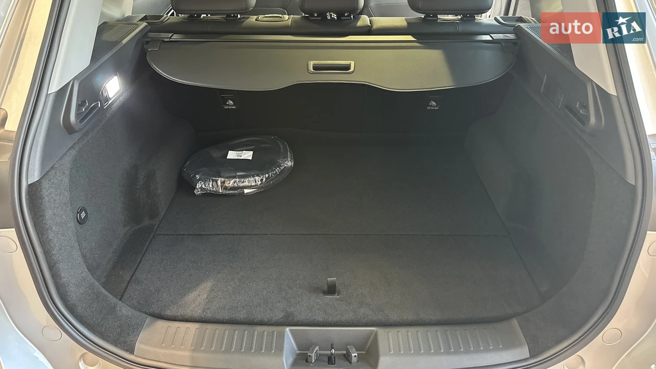 Chery-31