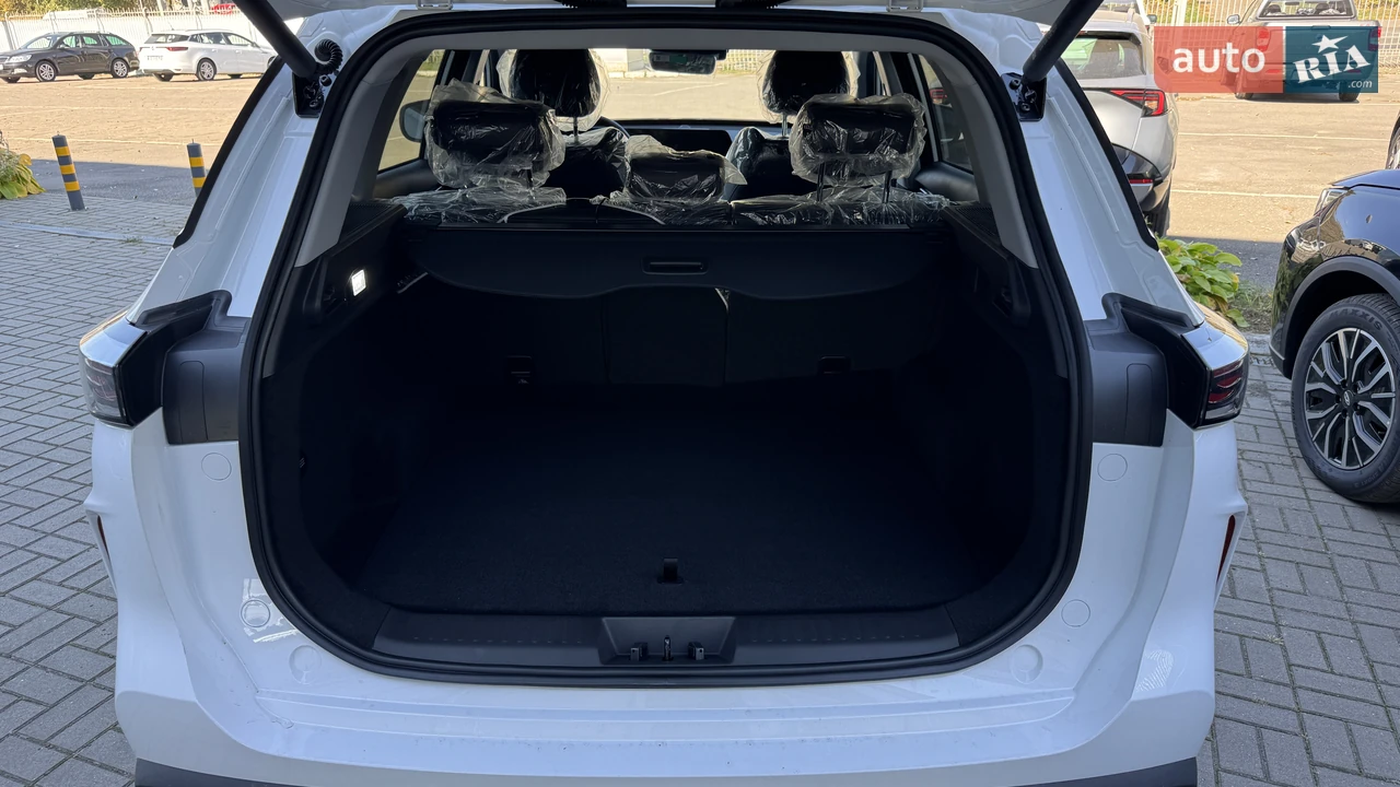 Chery-1