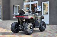 Comman Ranger 250 Base