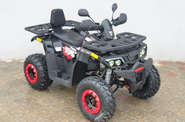Comman Scorpion Base
