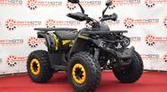 Comman Scrambler 150 Base