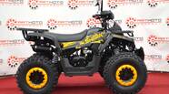 Comman Scrambler 150 Base