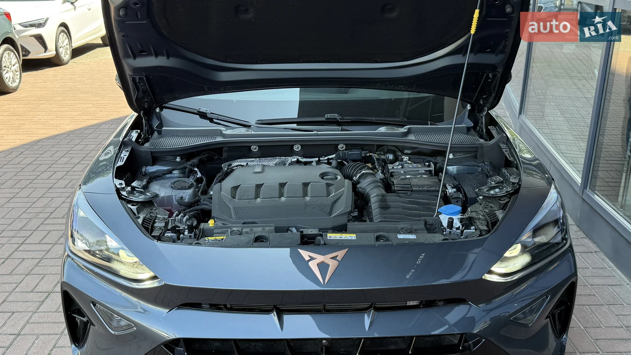 Cupra-16