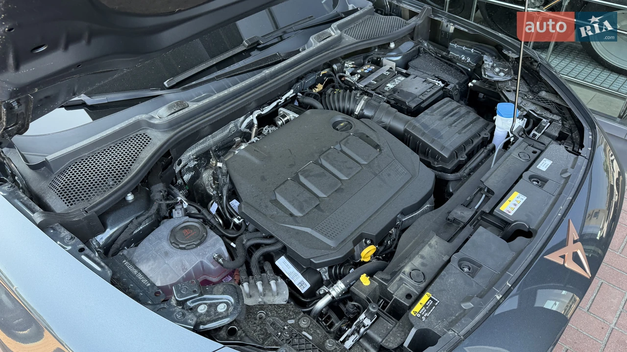 Cupra-34