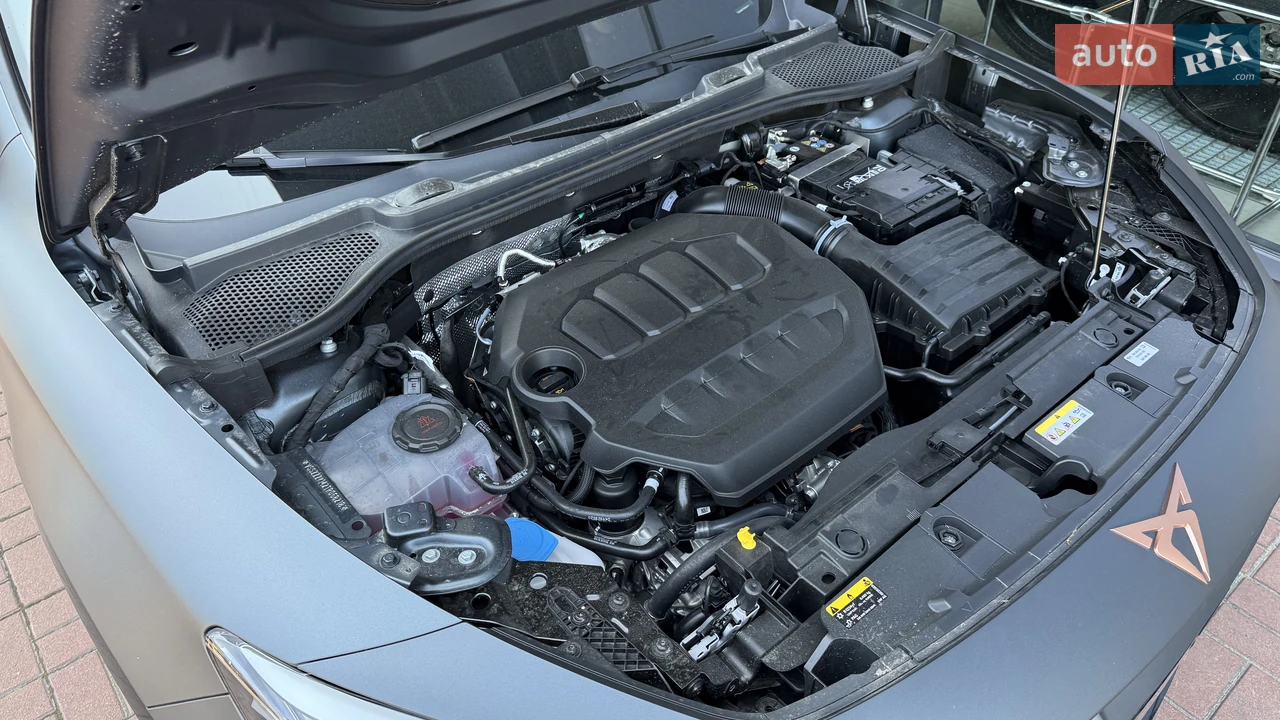 Cupra-41