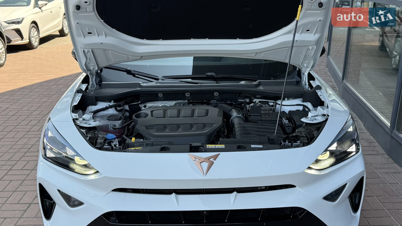 Cupra-45