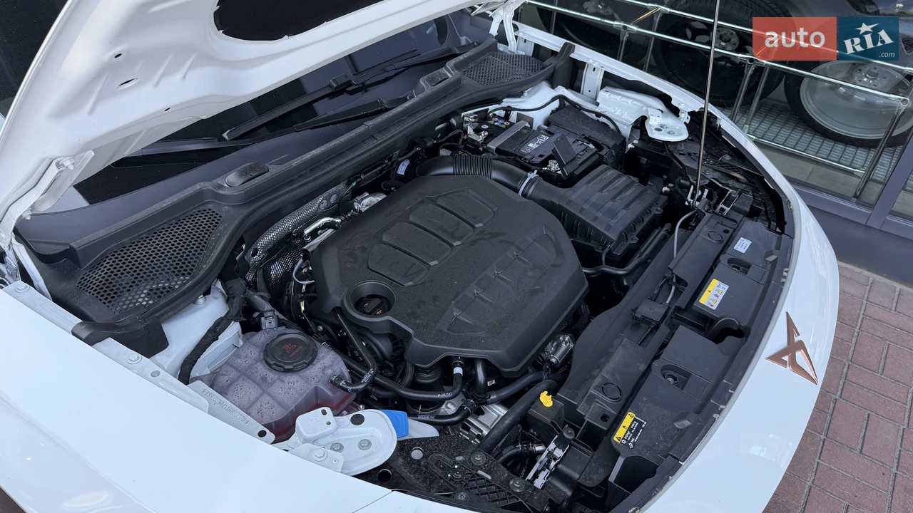 Cupra-2