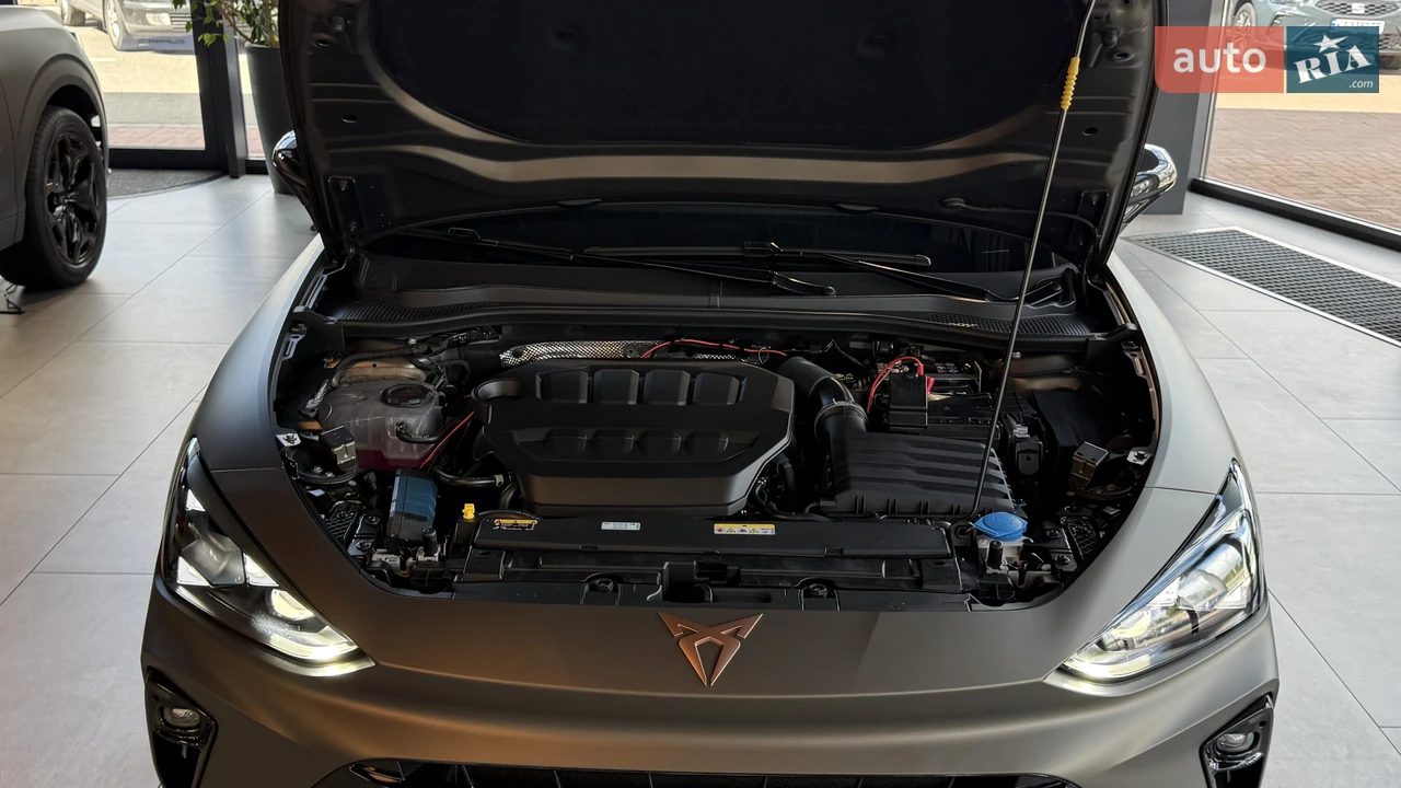 Cupra-8