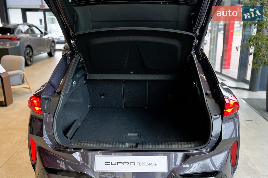 Cupra Terramar - фото 11