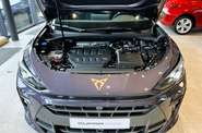 Cupra Terramar - фото 24