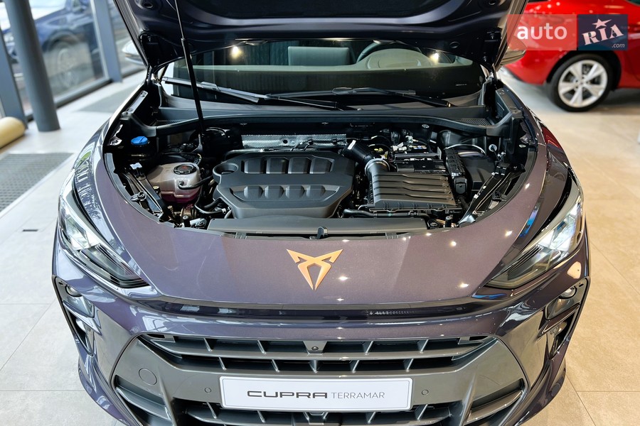 Cupra Terramar - фото 24