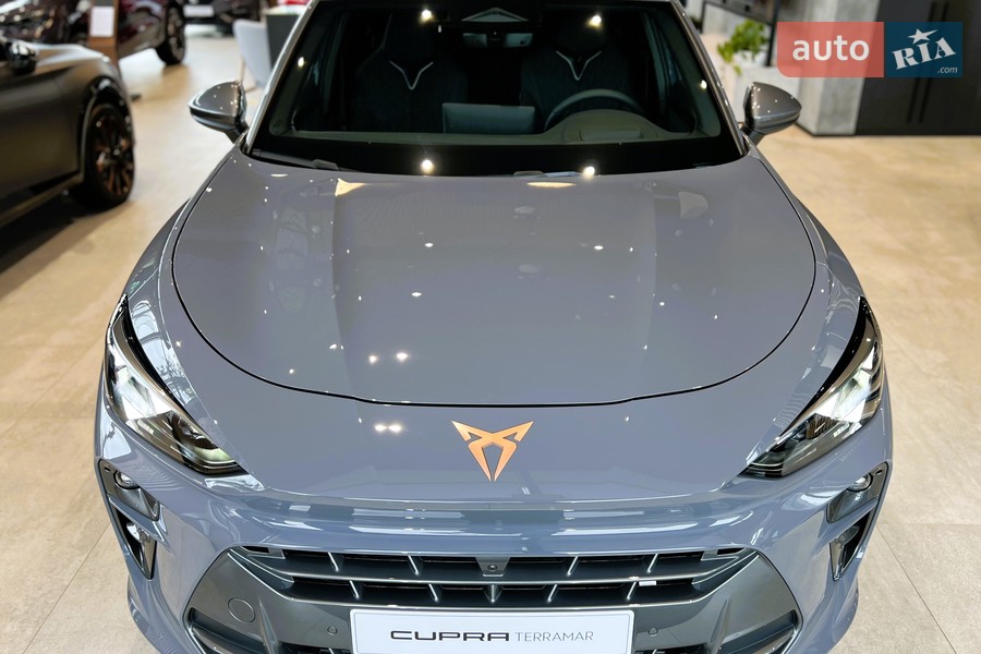 Cupra Terramar - фото 1